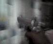 Download cazador o presa MP3 song and Music Video