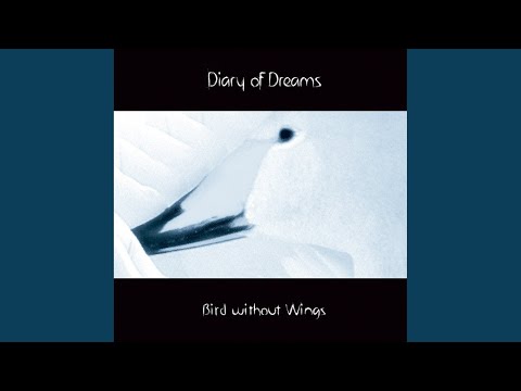 Birds Without Wings II Video