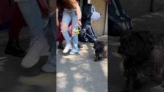 Y Quedó Súper Linda