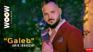 Amir Ibradzic - Galeb Official Cover 2023
