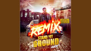 Stand My Ground (Remix)