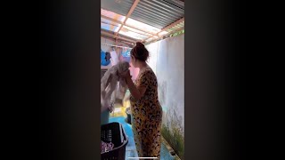 Tante T0Brut Guyur Ga Pakai Br4