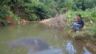 Fishing Video: Poor Girl Fishing With Iron Hooks To Sell - Green Forest Life, Relax Fishing