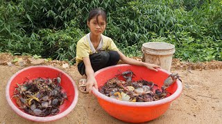 Orphan Life Harvesting Crabs And Fish And Bring Them To The Village Market To Sell - Homeless Life