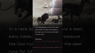 Lion Atude L Lion Atude Quotes L Lion Atude Status L Lion Atude Motivational Video