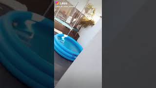 Trampoline Zwembad
