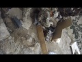 bomb