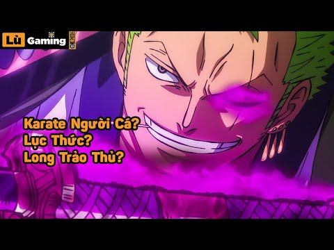 Băng Mũ Rơm Đã Thật Sự Học Những Gì Trong Timeskip?