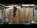 Autonomous robot