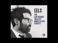 EELS - Kindred Spirit (audio stream)