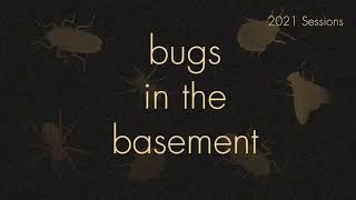 Bugs In The Basement - Cicindela Nevadica Lincolniana aka The Salt Creek Tiger Beetle