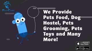 Pet Care - The service which make your pet feel like home