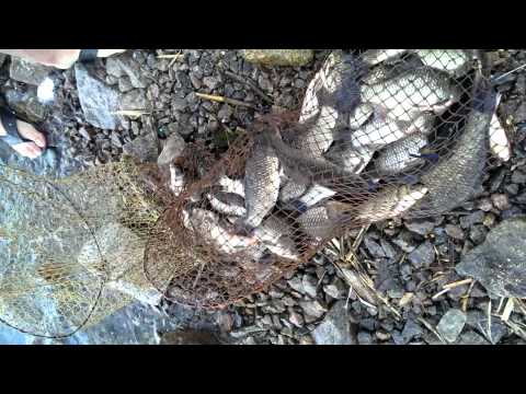 как сделать крыгу для рыбалки видео как сделать крыгу для рыбалки видео