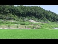2013年7月7日　D51（織姫）、C61（彦星）上越線離合