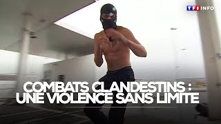 Enquête - Combats Clandestins Une Violence Sans Limitetf1 Info