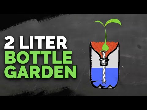 hydroponic gardening how to