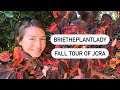 Fall tour at JC Raulston Arboretum
