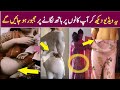 pakistani sex leaked viral video youtube|leaked videos sex mms|leaked viral video| #leakedvideos