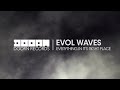Evol Waves - Everything In It's Right Place (Original Mix)