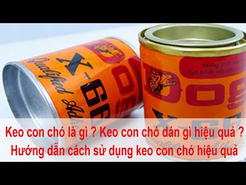 Keo con chó là gì ? Keo con chó dán gì hiệu quả ? Hướng dẫn cách sử dụng keo con chó hiệu quả