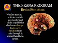 THE-PRANA-PROGRAM with Jasmuheen