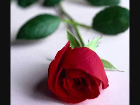 Hariharan Hindi Song- Sajni Main Tera Sajna