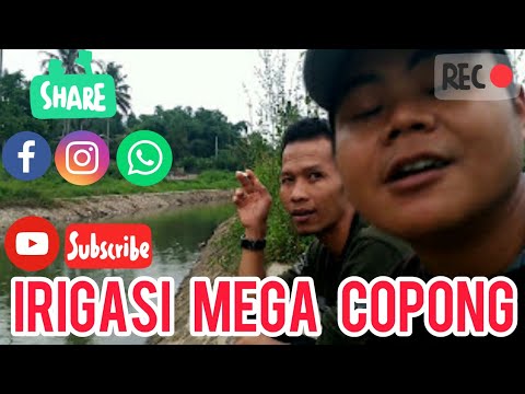 Irigasi mega copong banyak ikan