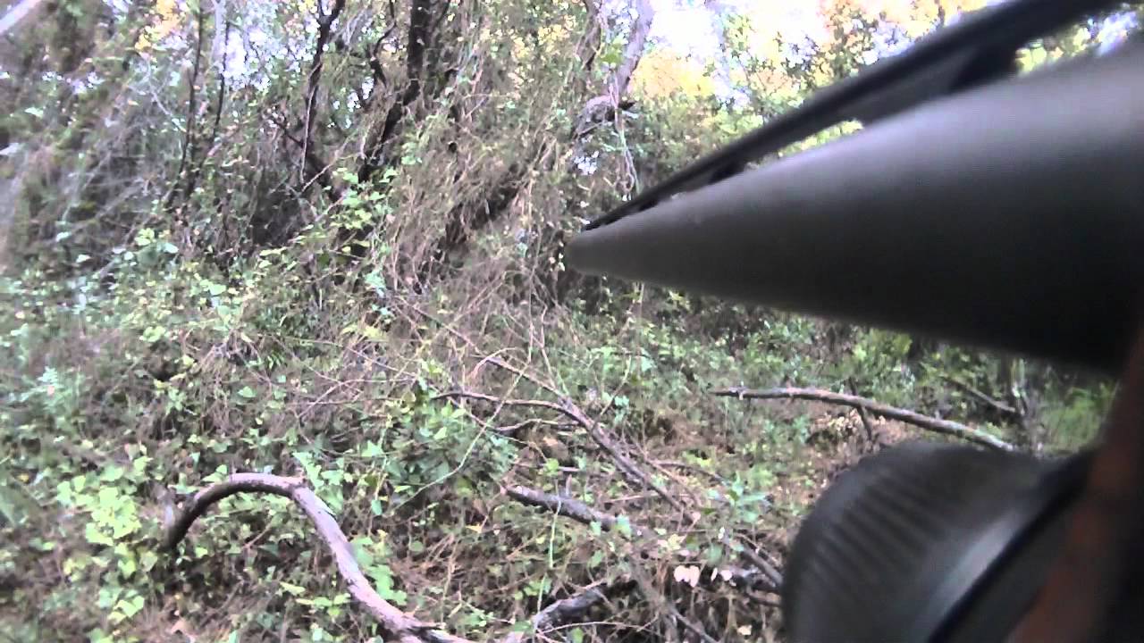 Stepanovka le domaine de Donetsk aleksandrovsky la région la pêche