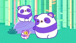 Molang & PiuPiu - Jungle Pets | #MyBestPets - Cartoon for kids