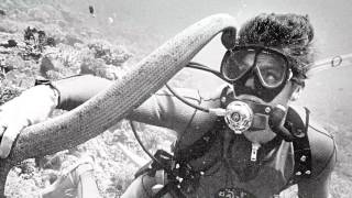 Wally Muller: 2015 ISDHF Inductee