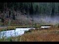 1 Hr Delta Binaural Beat Session (1.5Hz) ~ Pure "Universal Healing"
