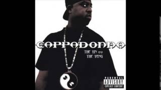 Watch Cappadonna Shake Dat feat Jammie Sommers video