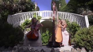 Aria de Bach - Harpsody Orchestra