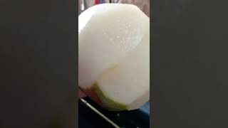 Qui À Deja Gouter?