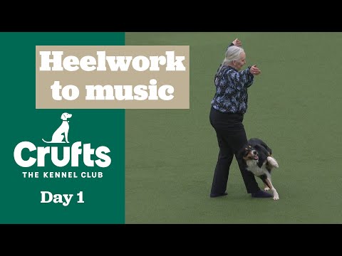 Heelwork to Music Competition Part Two | Crufts 2025