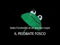 Il pelobate fosco Il pelobate fosco