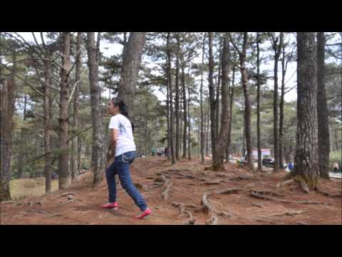 Stop Motion Music Video: Believe (Barbie and The Diamond Castle...