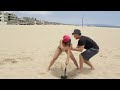 SEAGULL PRANK