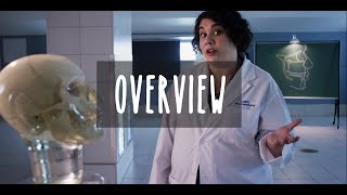 How we Swallow and Breathe: Overview of the Head & Neck - UBC Neuroanatomy - Season 2 - Ep 1