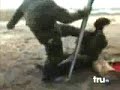 ткт  полный ПЭ юмор 