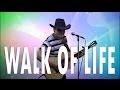 Dire Straits - Walk Of Life - Acoustic Guitar - Country Version - Enyedi Sándor