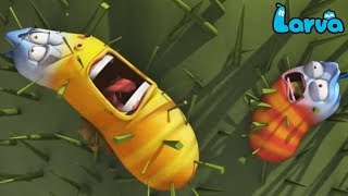 Larva Cartoon Full Movie 2019 Wild Wild World, Cartoons For Children