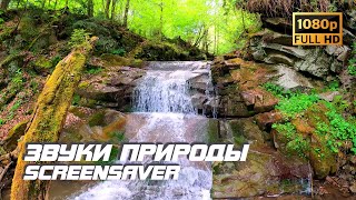 Живая Природа - Водопад | Река | Звуки Природы | Шум Водопада | Звуки Воды | Релаксация | Антистресс