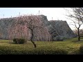 盛岡城跡公園（岩手公園）