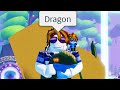 The Roblox Dragon Experience