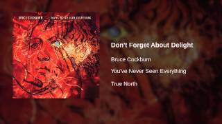Watch Bruce Cockburn Dont Forget About Delight video