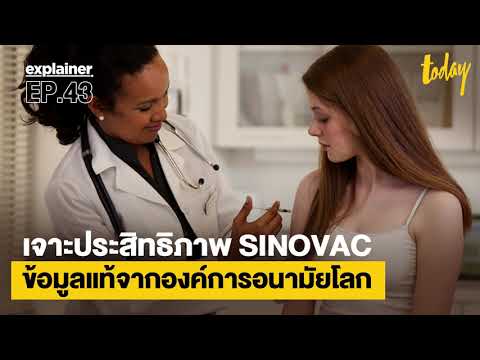 เจาะประสิทธิภาพ SINOVAC ข้อมูลแท้จากองค์การอนามัยโลก | EXPLAINER EP.43 | workpointTODAY