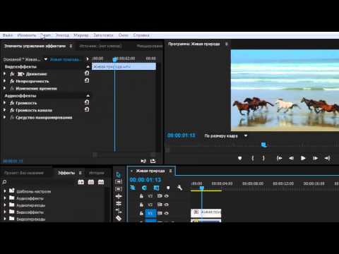 Как сделать стоп кадр (Adobe Premiere Pro CC) - YouTube