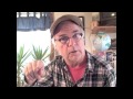 David Olney "You Never Know" (December 31, 2013) weekly web series