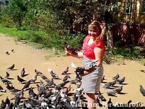 Стих голуби летят Стих голуби летят